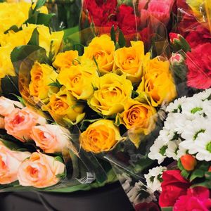 距离一万两千里但是我爱你（Prod.葵）