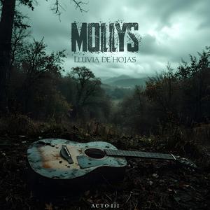 Cicatrices sobre el papel