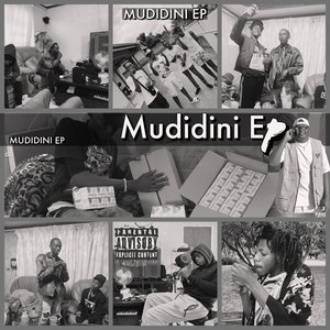 Mudidini
