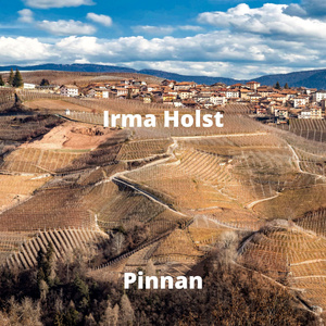 Pinnan