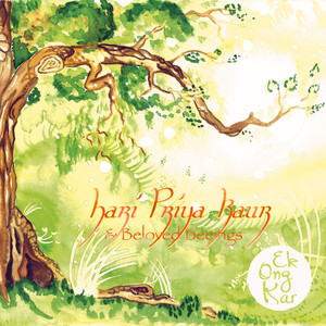 Asankh Murakh (18th Pauri of Jap Ji Sahib)