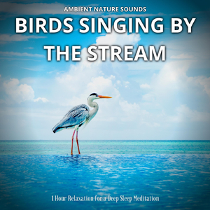 Osprey's Overture