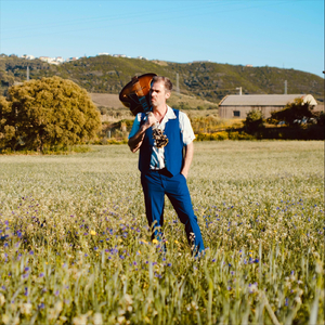 Purple, black and more