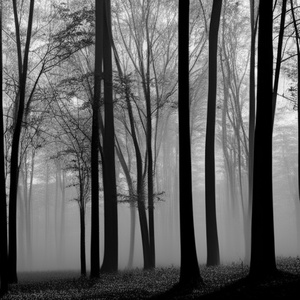 MURDER IN MY MIND (Cover)