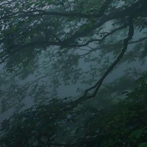 化身孤岛的鲸（ik / 王巨星 remix）