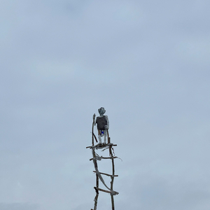 height