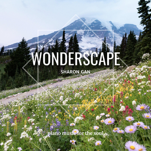 Wonderscape