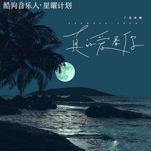 广东永琳 - 真的爱着你（DJAiden Remix）