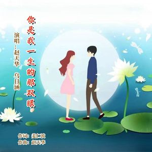 你是我一生的那双眼