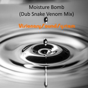 Moisture Bomb (Dub Snake Venom Mix)