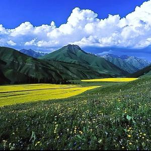 我的故乡巴音郭楞