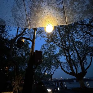 《夜行者的独白》