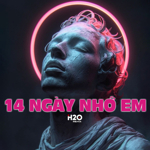 14 Ngày Nhớ Em (Remix)