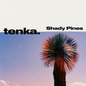 Shady Pines