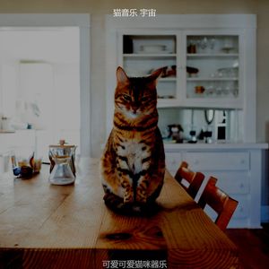 有趣放松的猫情怀