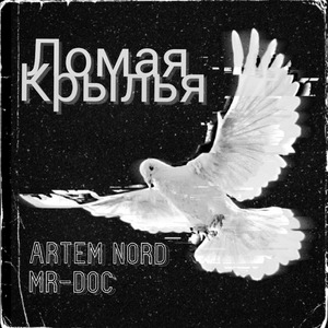 Ломая крылья