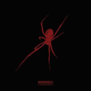 $pider (interlude)