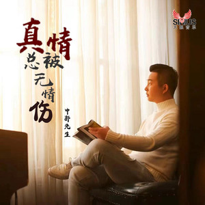 真情总被无情伤 (DJ沈念版)