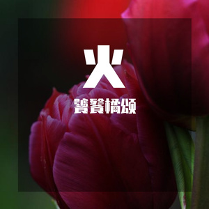 火火的热情