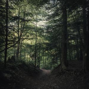 마음이 향하는 곳 (Where My Mind Goes)