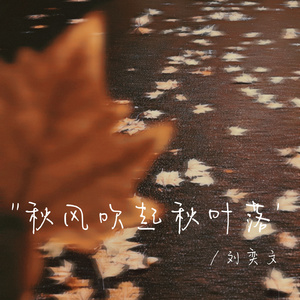 秋风吹起秋叶落