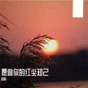 愿做你的红尘知己