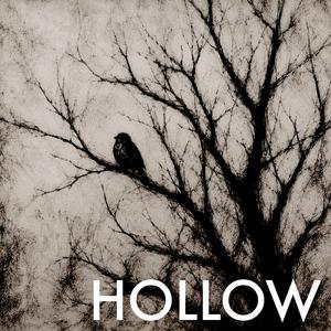 Hollow