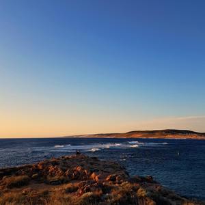 The Girl in the Garden