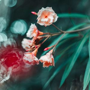 ＂牵手＂Boombap/Old School/J.Cole/法老/叙事 Type Beat