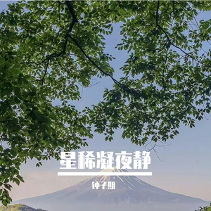 星稀凝夜静