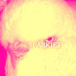 Parkiet