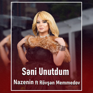 Seni Unutdum