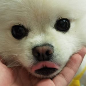 坏女孩