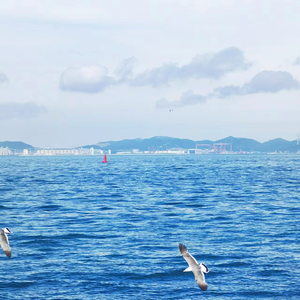 我们都拥有海洋