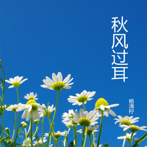 秋水悠悠 (古筝)