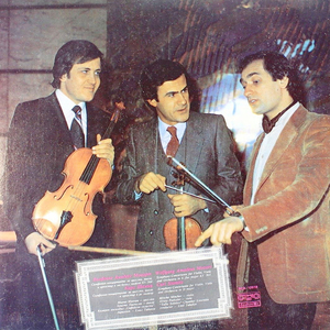 Sinfonia Concertante in D Major: I. Allegro Moderato