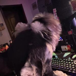 今天天气很好.(Prod by AZYAIRE)