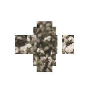 Пока