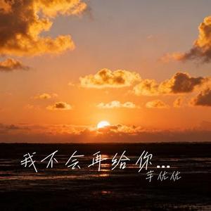 我不会再给你伤我的机会 (Cover 王佳音)