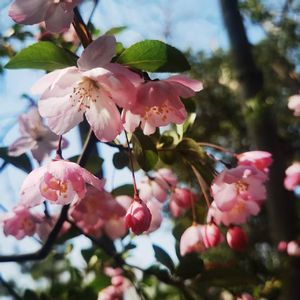 穿越雨幕fly the rain