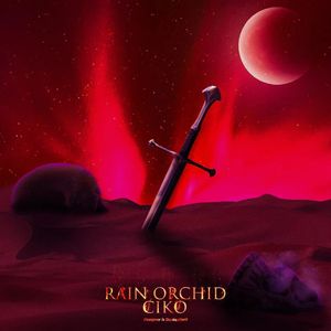 风雨兰RAIN ORCHID