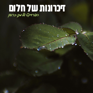 זיכרונות של חלום