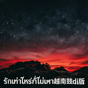 รักเท่าไหร่ก็ไม่เอา越南鼓dj版