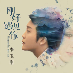 Mushroom - 李玉刚 - 刚好遇见你（Mushroom FutureBass Remix）