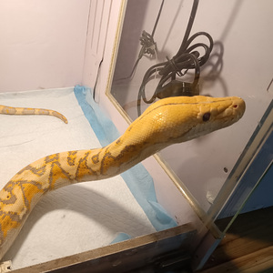 我用什么把你留住(Live)_道友请留步