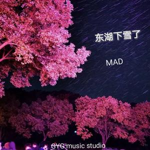 Froggy-东湖下雪了（GYG REMIX）