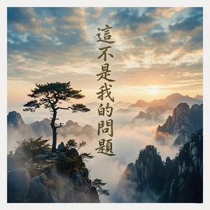 这不是我的问题