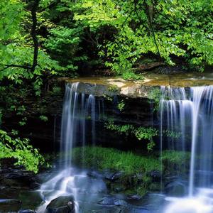 年轻的战场（翻自 孙楠）