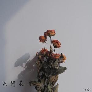 不问花开 (降调版)