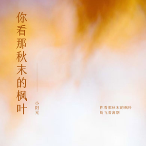 你看那秋末的枫叶